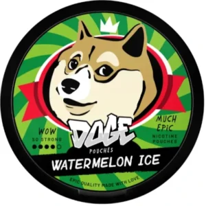 Doge Watermelon ice nikotiinipussit