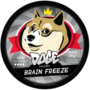 Jäätävä Dogen Brainfreeze nikotiinipussi